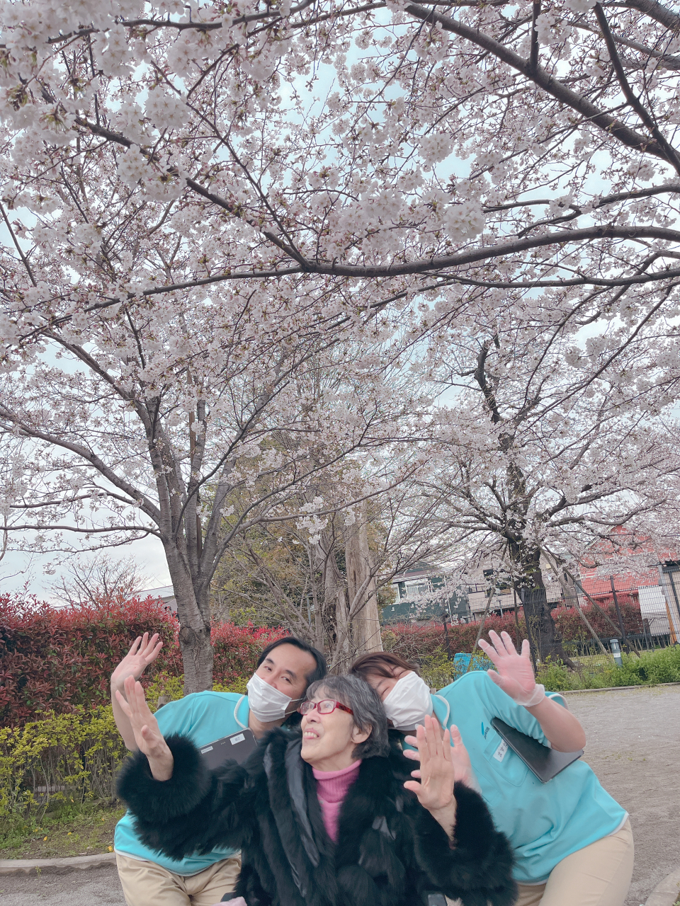 桜満開🌸笑顔満開🌸🌸