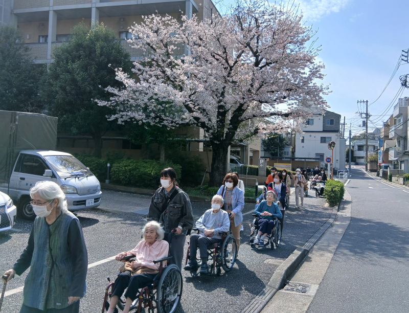 🌸お花見Week 大盛況でした🌸