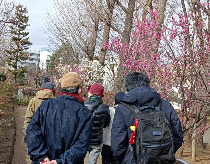 アクションチーム活動で羽根木公園を散歩しました👣